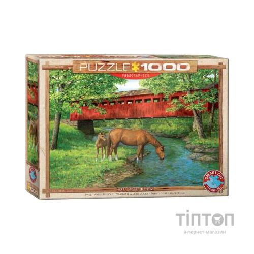 Пазл Eurographics Міст у лісі 1000 елементів (6000-0834)