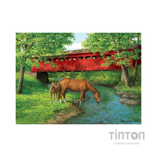 Пазл Eurographics Міст у лісі 1000 елементів (6000-0834)