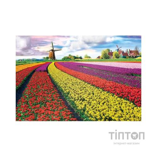 Пазл Eurographics Поле тюльпанів у Нідерландах 1000 елемен (6000-5326)