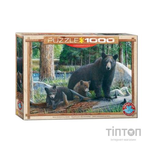 Пазл Eurographics Познавая мир 1000 элементов (6000-0793)