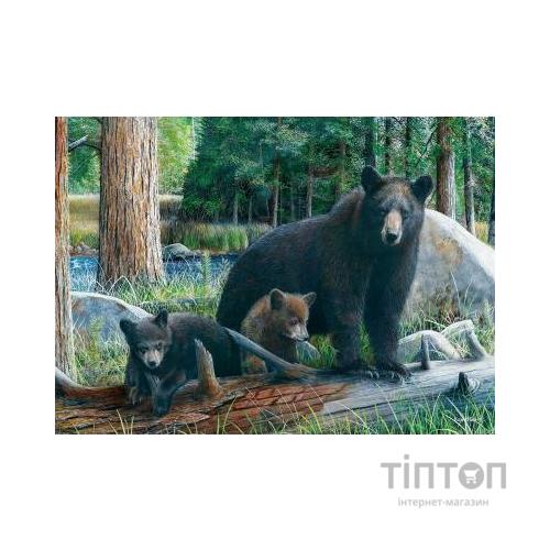 Пазл Eurographics Познавая мир 1000 элементов (6000-0793)