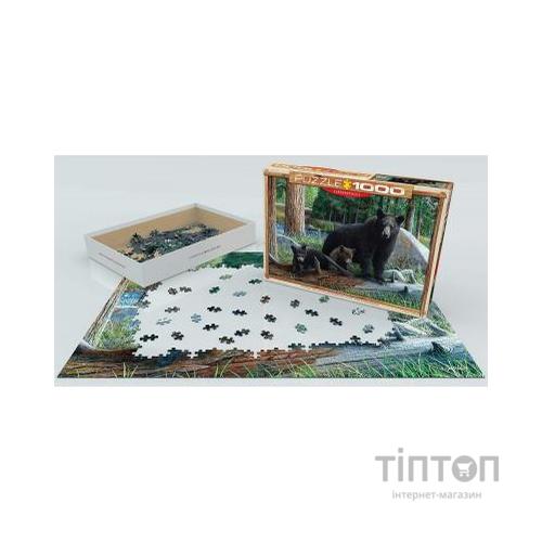 Пазл Eurographics Познавая мир 1000 элементов (6000-0793)