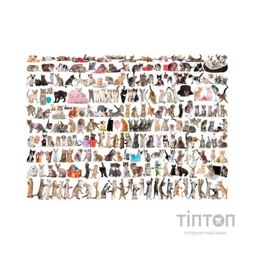 Пазл Eurographics Світ кішок 1000 елементів (6000-0580)