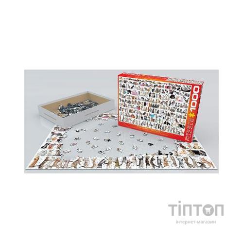 Пазл Eurographics Світ кішок 1000 елементів (6000-0580)