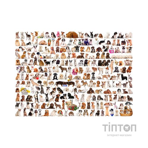 Пазл Eurographics Світ собак, 1000 елементів (6000-0581)