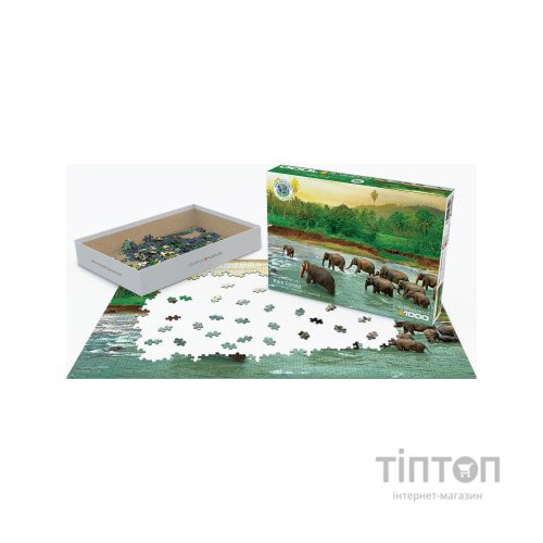 Пазл Eurographics Тропічний ліс Врятуємо нашу планету (6000-5540)