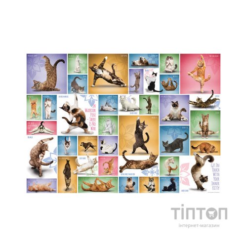 Пазл Eurographics Йога Кішки 1000 елементів (6000-0953)