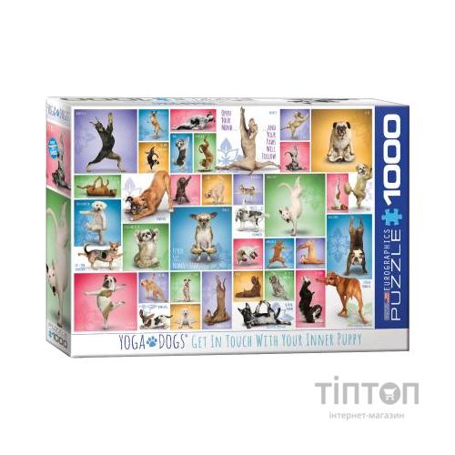 Пазл Eurographics Йога Собаки 1000 елементів (6000-0954)