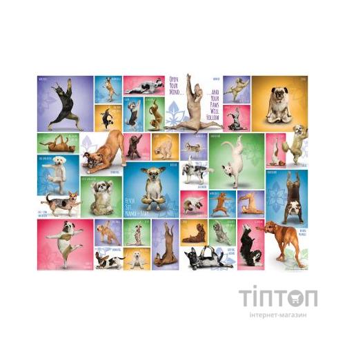 Пазл Eurographics Йога Собаки 1000 елементів (6000-0954)