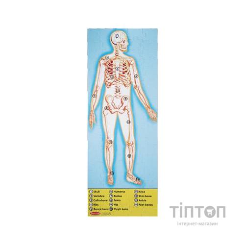Пазл Melіssa&Doug Будова людини 100 елементів (MD445)