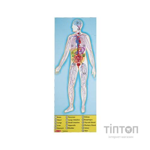 Пазл Melіssa&Doug Будова людини 100 елементів (MD445)