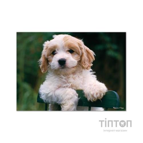 Пазл Melissa&Doug Цуценята, 30 елементів (MD8923)