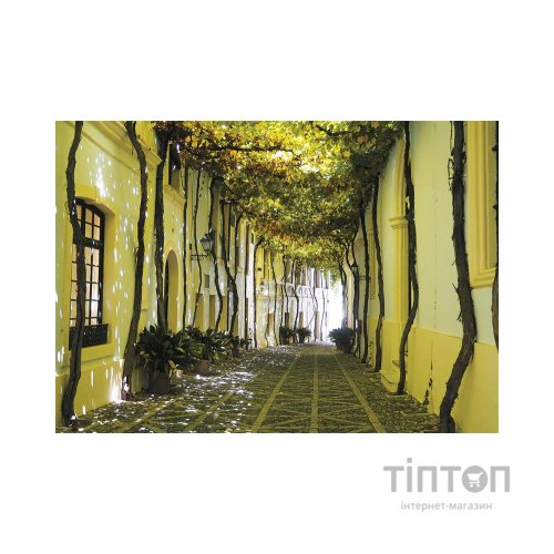 Пазл Piatnik Андалузька алея, 1000 елементів (PT-558344)