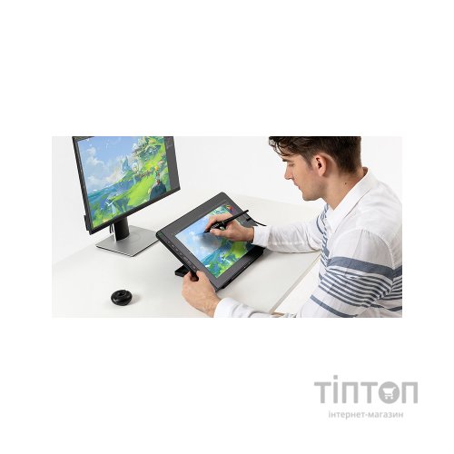 Планшет-монітор Huion Kamvas RDS-160 (RDS-160)