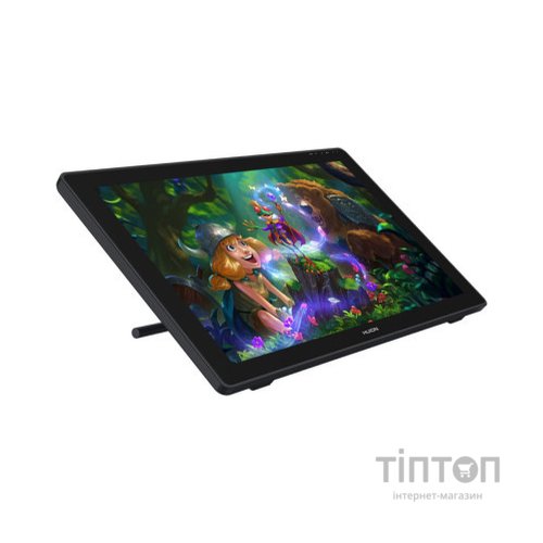 Планшет-монітор Huion Kamvas RDS-220 (RDS-220)