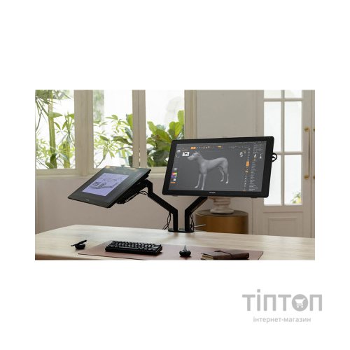 Планшет-монітор Huion Kamvas RDS-220 (RDS-220)