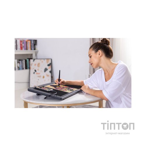 Планшет-монітор Huion Kamvas RDS-220 (RDS-220)