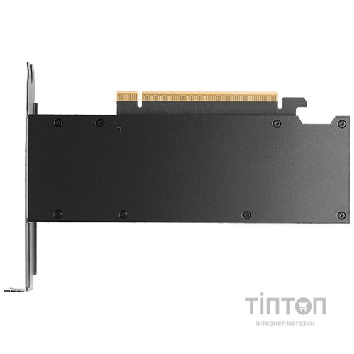 PNY NVIDIA RTX PRO 2000 Blackw PB (VCNRTXPRO2000-PB)