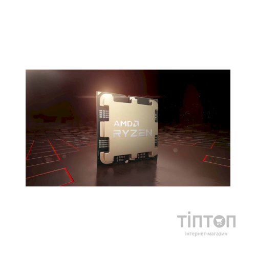 Процесор AMD Ryzen 9 7900X (100-100000589WOF)