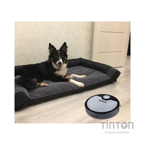 Пилосос DYXON MEGAVAC 3000S PRO Wet Clean (DXNVCMGVC3000SWSL)