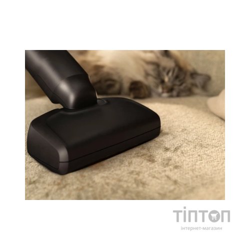 Пилосос Electrolux EP61AB21UG