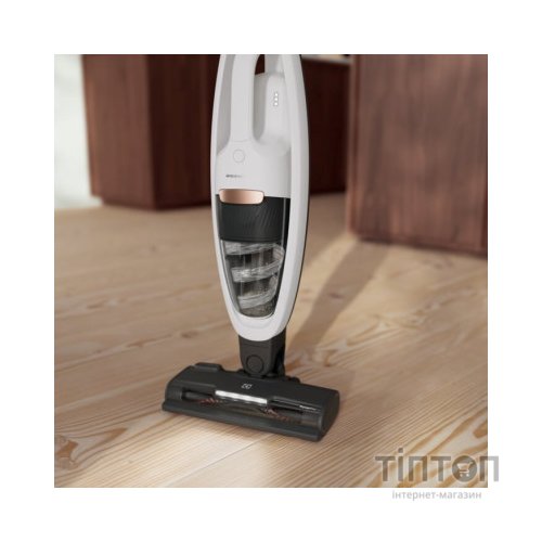 Пилосос Electrolux ES52HB25SH