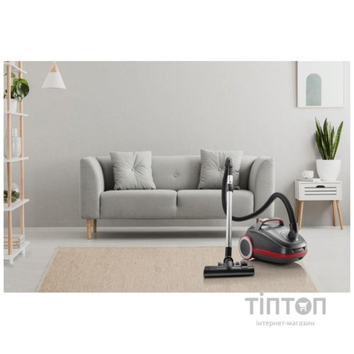 Пилосос Gorenje VCEA24GPRA