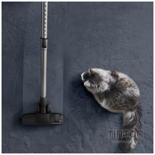 Пилосос Rowenta RO7C66EA