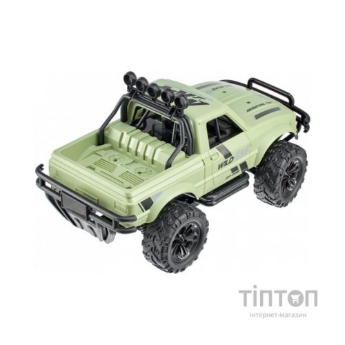 Радіокерована іграшка ZIPP Toys Машинка Дикий офф-роуд (HJ807)