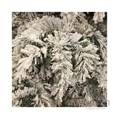 Різдвяний вінок Black Box Trees Dinsmore Frosted 45 см (8718861289022)