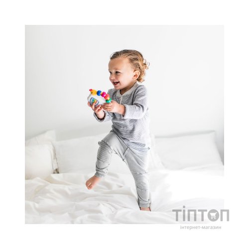 Розвиваюча іграшка Baby Einstein музична Take Along Tunes (30704)