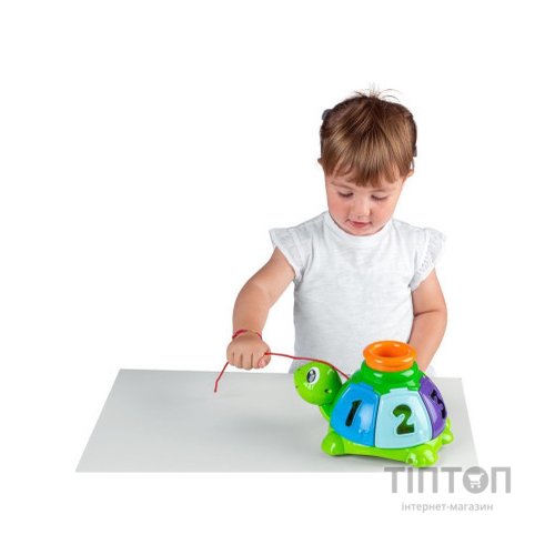 Розвиваюча іграшка Chicco сортер Черепаха (10622.00)