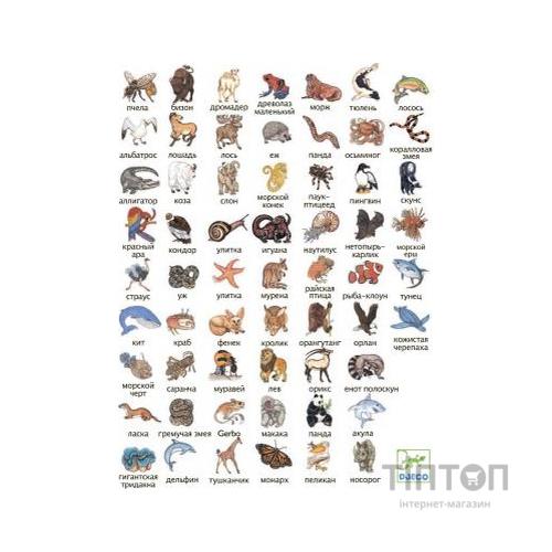 Розвиваюча іграшка DJECO Занималка (DJ05153)