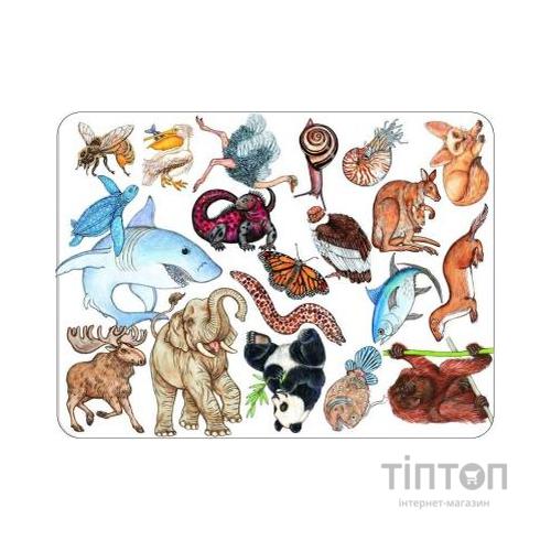 Розвиваюча іграшка DJECO Занималка (DJ05153)