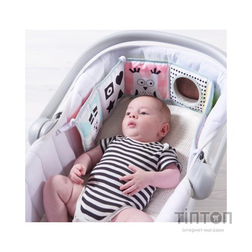 Розвиваюча іграшка Taf Toys Книжка-раскладушка Мышки-Мартышки (12025)