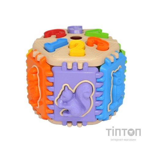 Розвиваюча іграшка Tigres сортер Forest schооl 32 елемента (39786)