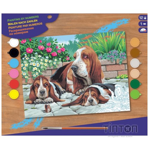 Набір для творчості Sequin Art PAINTING BY NUMBERS SENIOR Basset Hounds (SA0044)