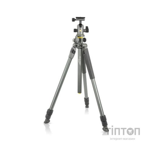 Штатив Vanguard Alta Pro 2+ 263AB 100 (DAS302029)