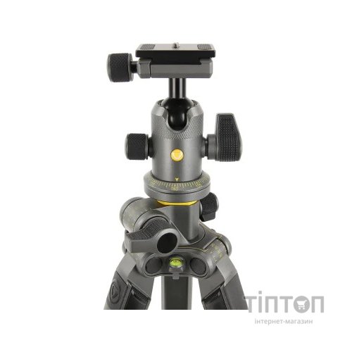 Штатив Vanguard Alta Pro 2+ 263AB 100 (DAS302029)