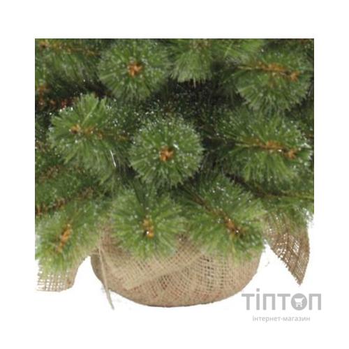 Штучна сосна Triumph Tree Forest Frosted 0.6м (8717669551874)
