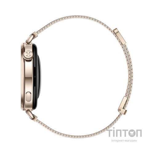 Смарт-годинник Huawei WATCH GT 6 41mm Gold Milanese (55020FTP)