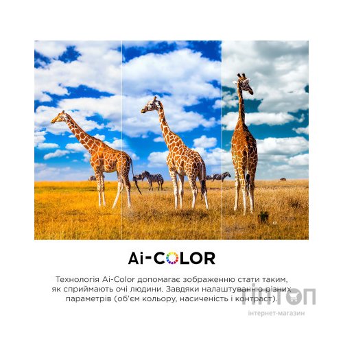 Телевізор TCL 65C845