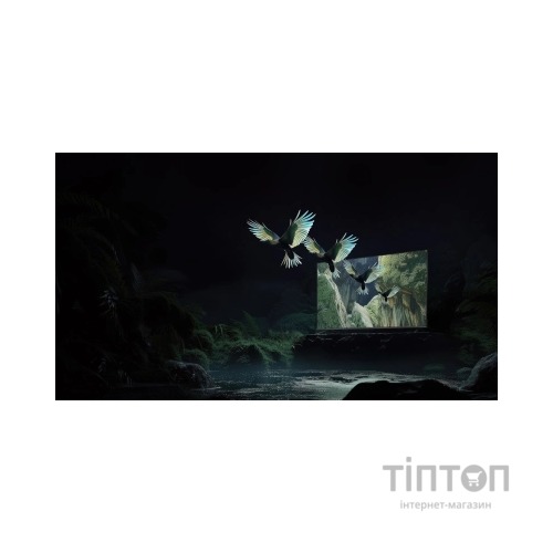 Телевізор Xiaomi TV S Mini LED 55 2025