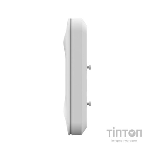 Точка доступу Wi-Fi Ruijie Networks RG-RAP2200(E)