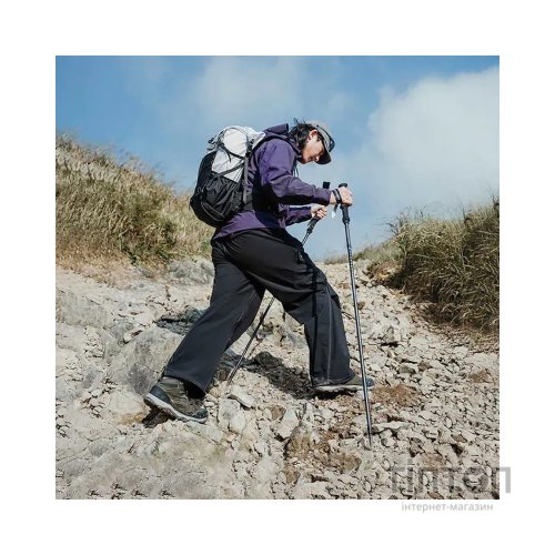 Трекінгові палиці Naturehike CNK2450DS017, 130 см, сіра (6927595788684)