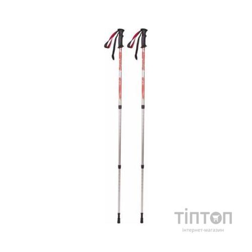 Трекінгові палиці Tramp Scout пара (TRR-009)