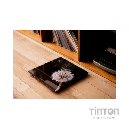 Ваги підлогові Ardesto SCB-965BL