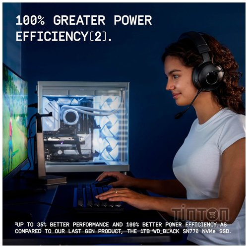 WESTERN DIGITAL WDS100T4X0E