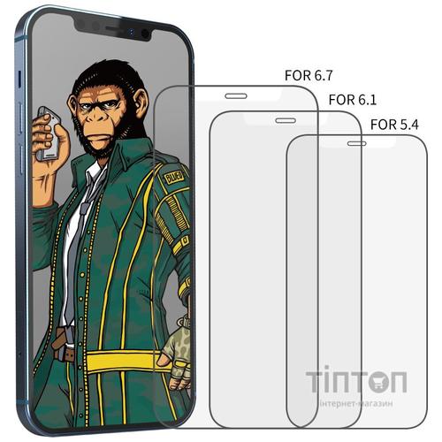 Захисне скло Blueo for iPhone 12 mini - Full Screen Anti-Glare Mate (NPB9-5.4)