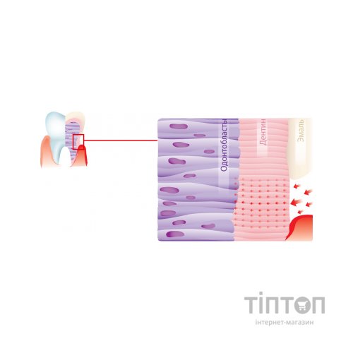 Зубна паста Dr. Wild Emofluor Daily Care зі стабілізованим фторидом олова 75 мл (7611841701686)